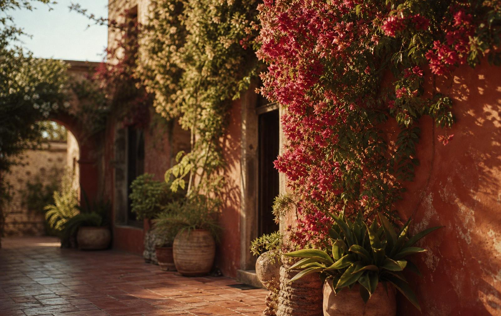 Patio de muros rojizos con buganvilla en flor y macetas de barro bajo la luz cálida del atardecer